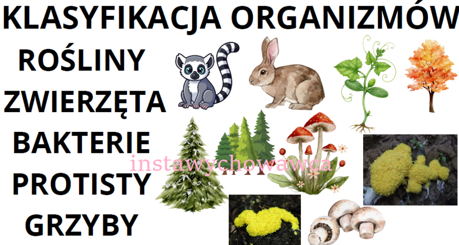 klasyfikacja organizmów