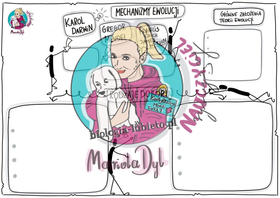 Mechanizmy ewolucji. Klasa 8 karta pracy.