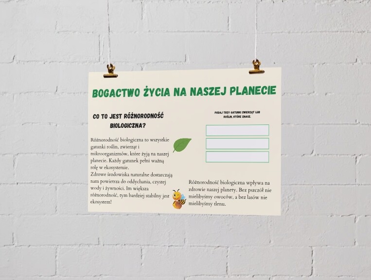 Plakaty edukacyjne. Cykl życia roślin i zwierząt. Różnorodność biologiczna. Jak chronić środowisko? Pięć zasad ekologii.