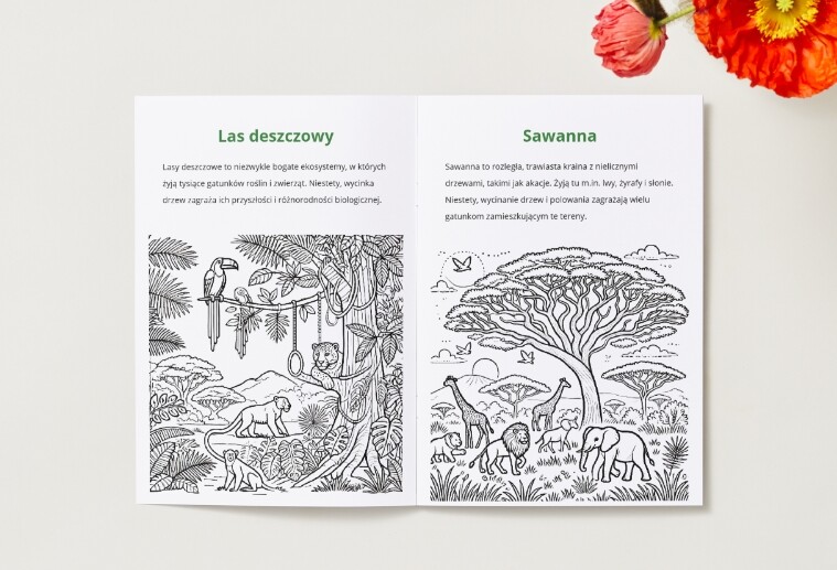 Kolorowanki. Zwierzęta zagrożone wyginięciem. Krajobrazy naturalne. Czynności związane z ochroną środowiska.