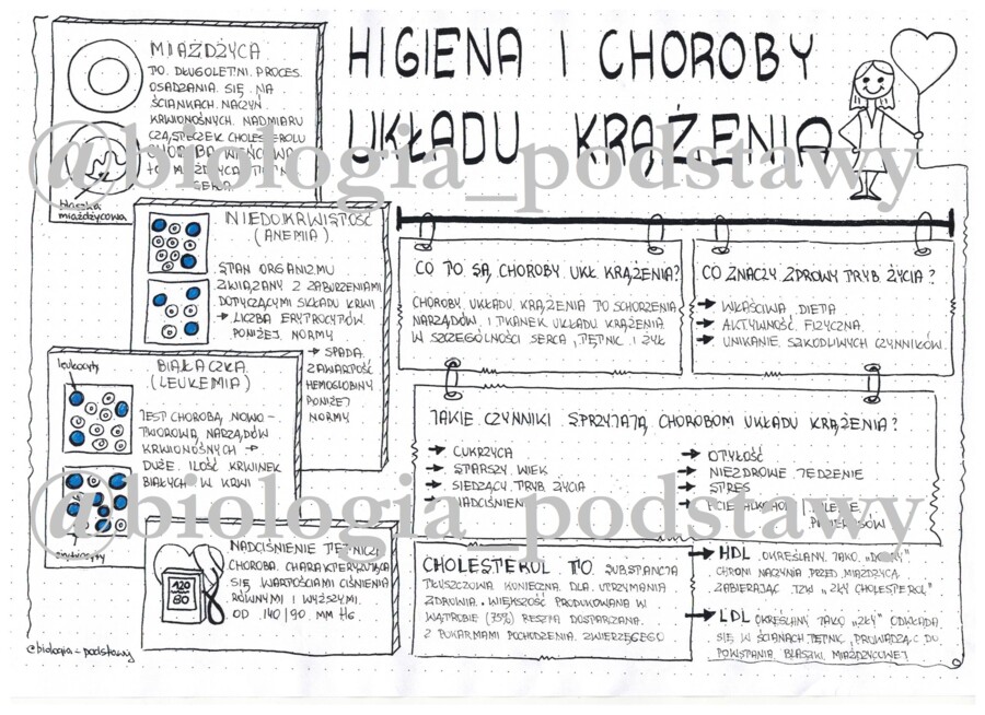 Klasa 7 - Higiena i choroby układu krążenia - sketchnotka