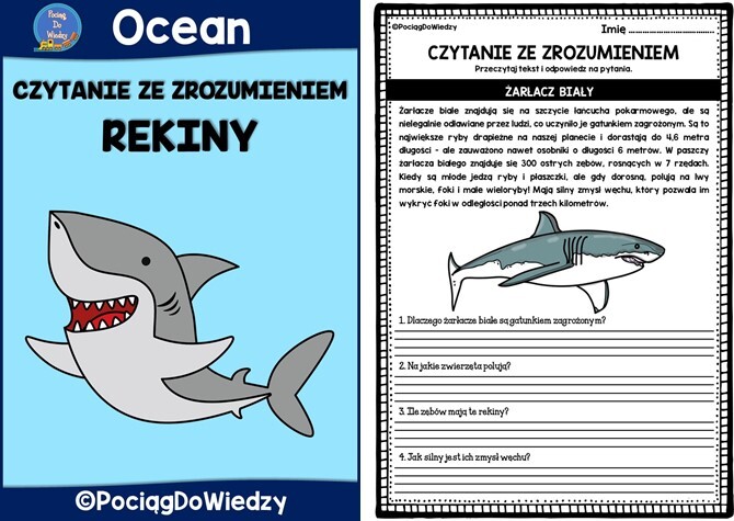 Czytam ze zrozumieniem - Rekiny