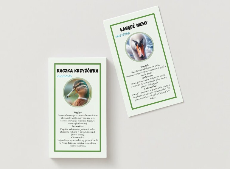 Karty przyrodnicze dla najmłodszych. Gatunki lądowe. Gatunki wodne. Gatunki leśne.