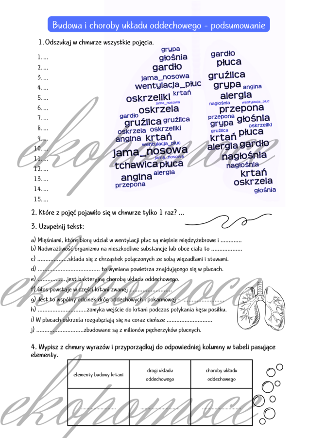 Budowa układu oddechowego - Karta pracy - Układ oddechowy (budowa i higiena) - Biologia Podstawowa w LO i technikum - POWTÓRZENIE WIADOMOŚCI