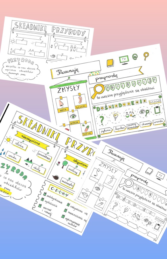 przyroda - duży zestaw