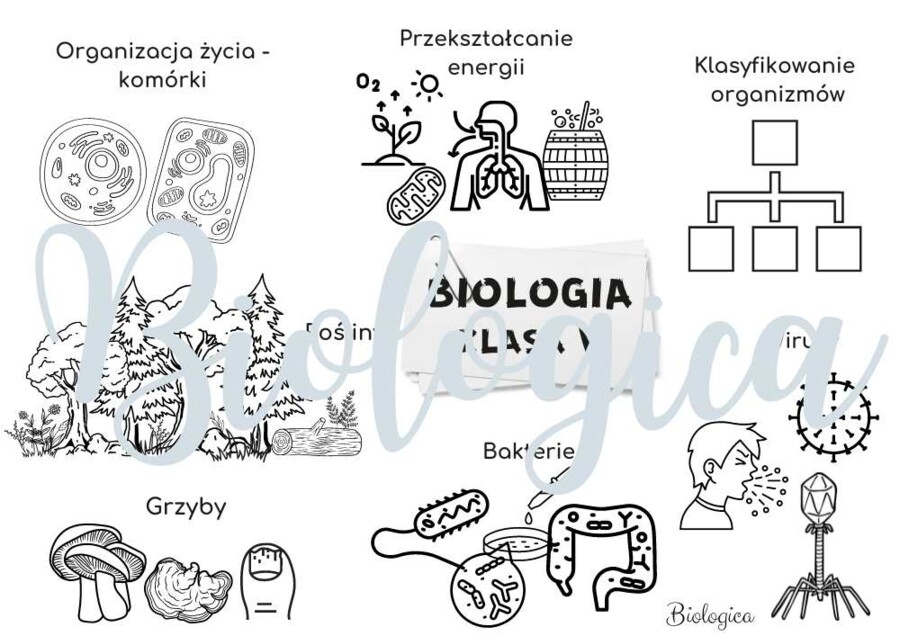 O CZYM BĘDĘ SIĘ UCZYŁ W TYM ROKU NA BIOLOGII? Obrazkowe karty na pierwszą lekcję dla klas 5-8.