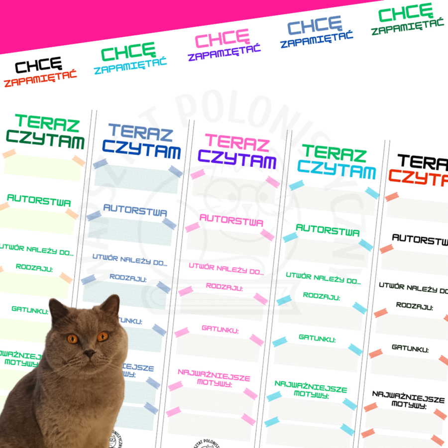 Teraz czytam... - zakładki, fiszki, zakładko-fiszki literackie