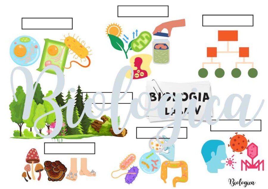 O CZYM BĘDĘ SIĘ UCZYŁ W TYM ROKU NA BIOLOGII? Obrazkowe karty na pierwszą lekcję dla klas 5-8.