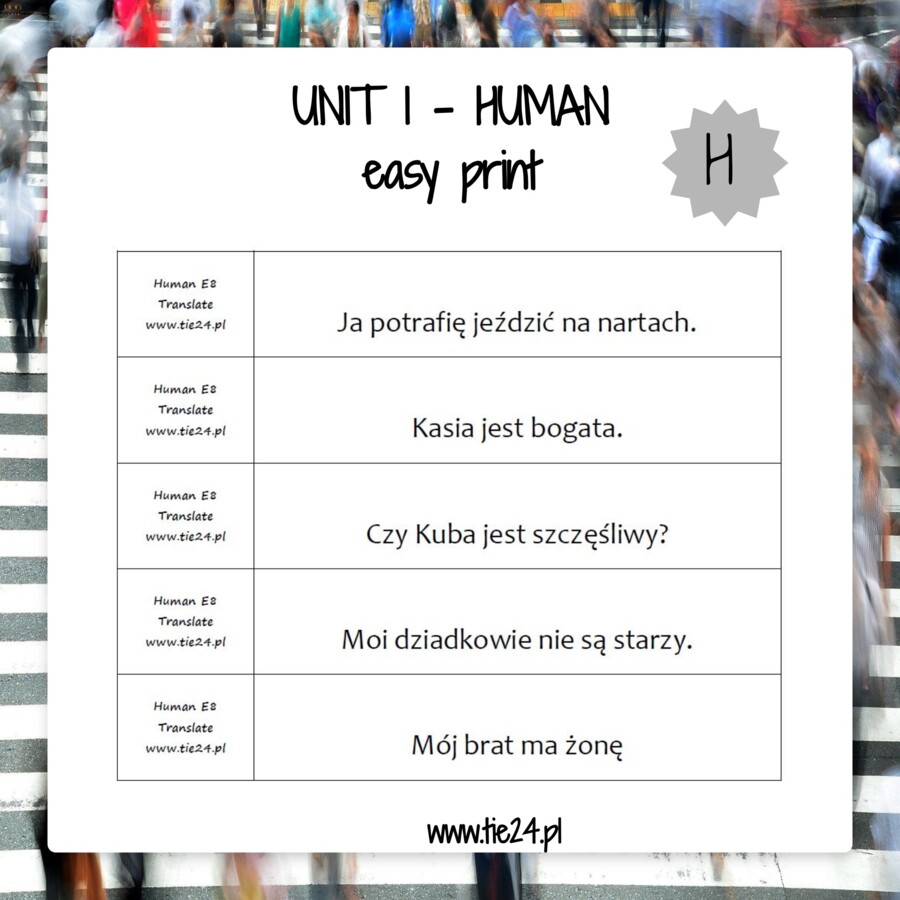 E8 grammar vocabulary ebook