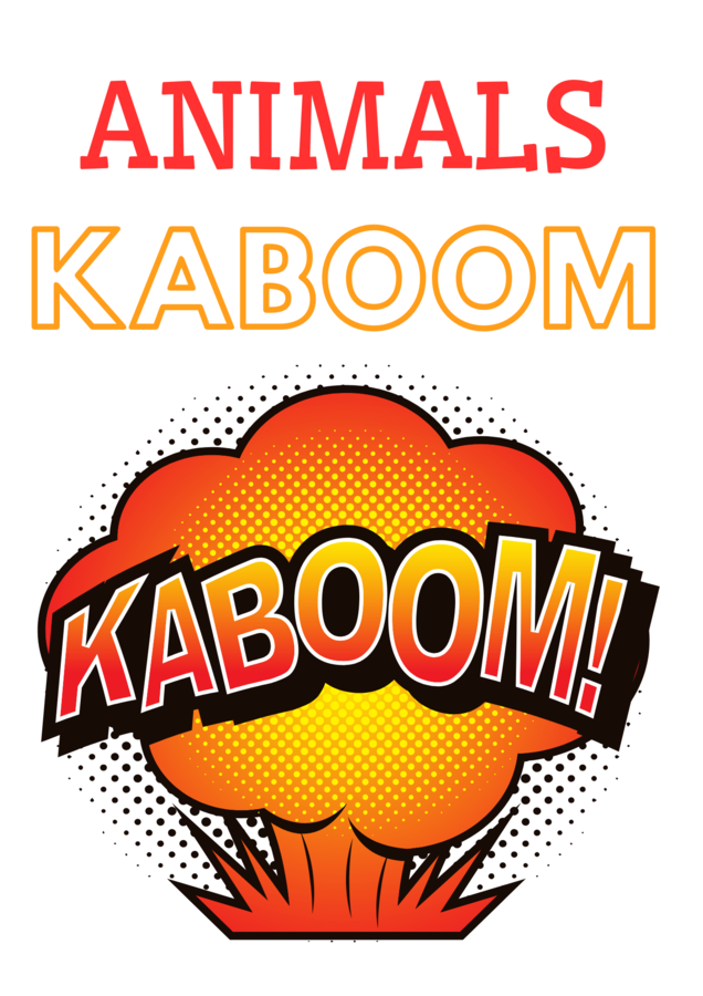 Animals kaboom - darmowe