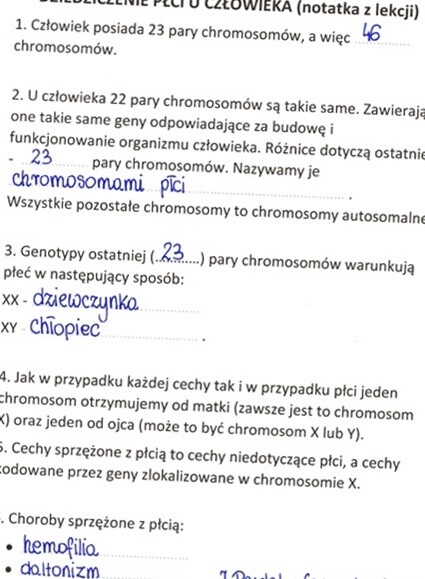 Dziedziczenie płci u człowieka - sketchnotka