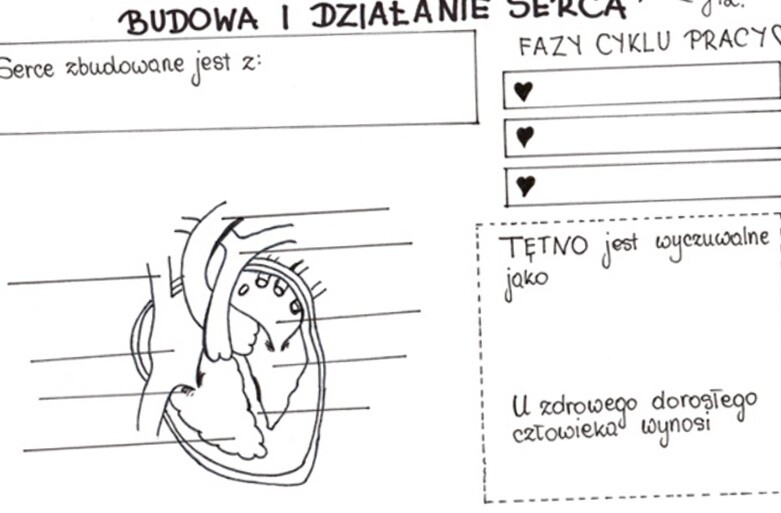 Budowa i działanie serca (karta pracy)