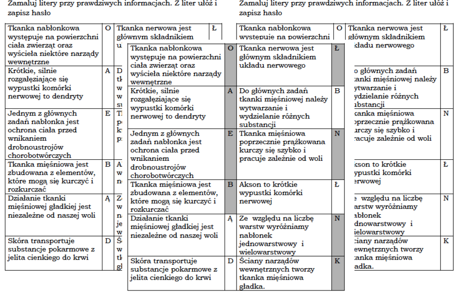 Łamigłówka na podsumowanie lekcji biologii w klasie 6 "Tkanka nabłonkowa, mięśniowa i nerwowa"