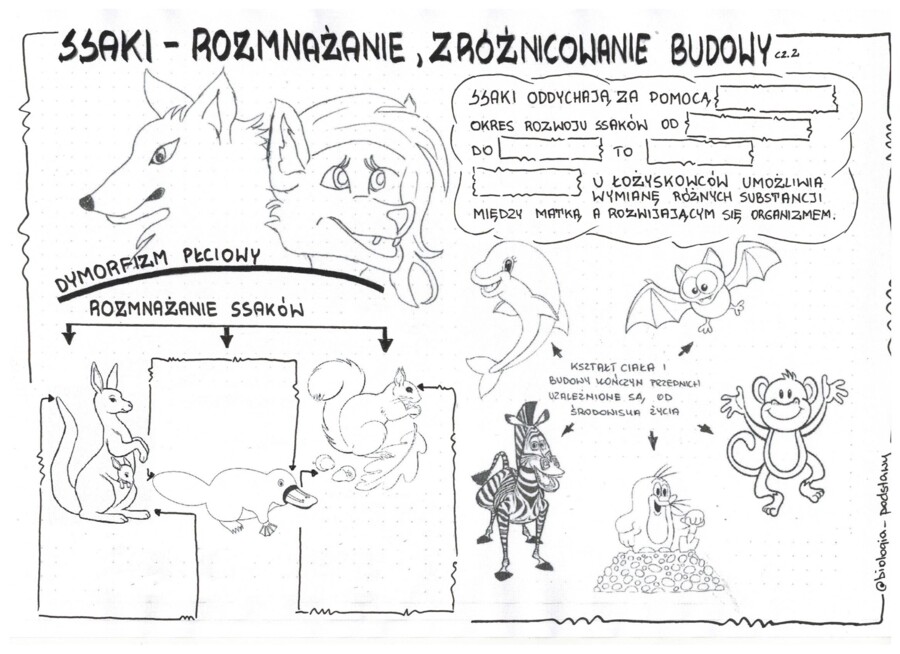 Ssaki - klasa 6 - KP