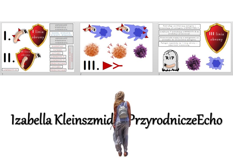 Materiał do zalaminowania/praca w grupach/puzzle/układanka. "Linie obrony - jak zdobywamy odporność?" „Budowa i funkcjonowanie układu odpornościowego” w pdf. Biologia 7, dział „Układ krążenia”.