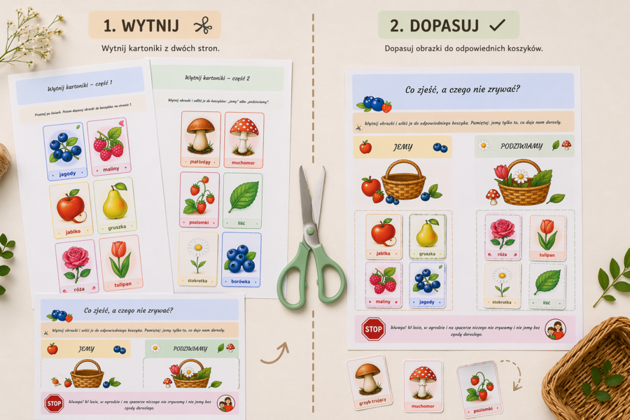 Co zjeść, a czego nie zrywać? – sortowanie obrazków