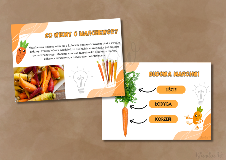 Dzień Marchewki - zestaw