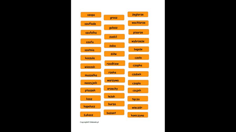 Zestaw „Logopedyczne domy” - utrwalanie głosek