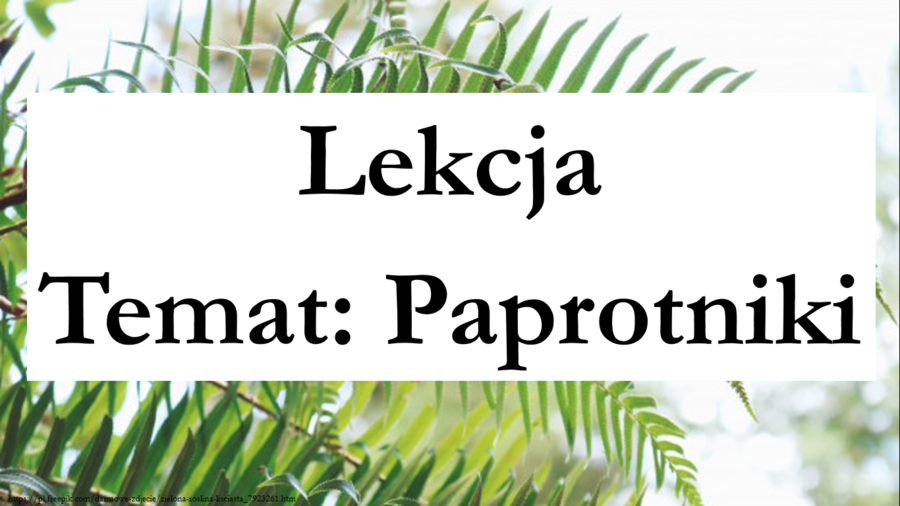 Paprotniki - klasa 5 - scenariusz lekcji