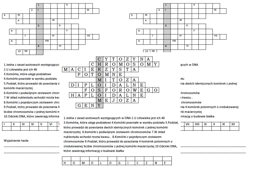 Logogryf na podsumowanie lekcji biologii w klasie 8 o podziałach komórkowych