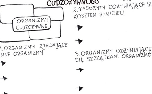 Cudzożywność (karta pracy)