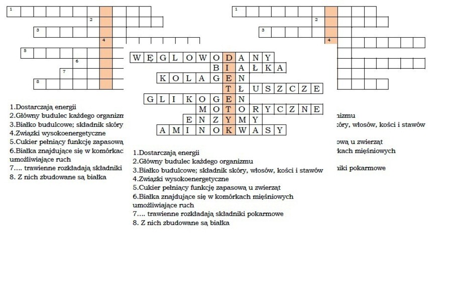 Logogryf na podsumowanie lekcji biologii w klasie 7 "Pokarm- budulec i źródło energii"