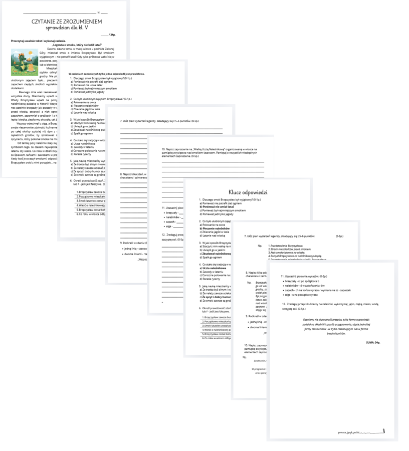 czytanie ze zrozumieniem - sprawdzian - klasa 5