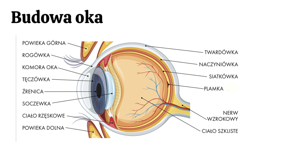 KLASA 3 rozszerzenie - PAKIET NA CAŁY ROK