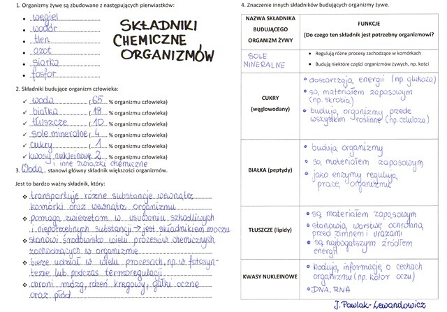 Składniki chemiczne organizmów - sketchnotka