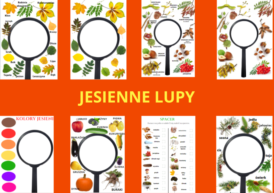 JESIENNE LUPY
