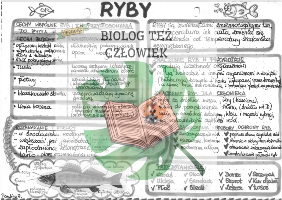 Zwierzęta - Kręgowce - RYBY (szarość)