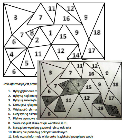 Ryby kolorowanka, prawda czy fałsz