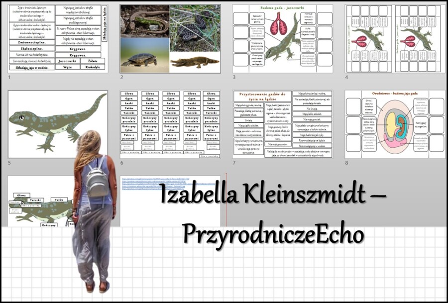 Materiał do zalaminowania/praca w grupach/stacje zadaniowe/układanka/puzzle + notatka okienkowa „Gady-kręgowce, które opanowały ląd” w pdf. Biologia 6, dział „Kręgowce zmiennocieplne”.