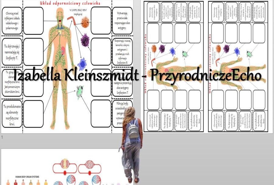 Notatka okienkowa „Budowa i funkcjonowanie układu odpornościowego” w pdf. Biologia 7, dział „Układ krążenia”.