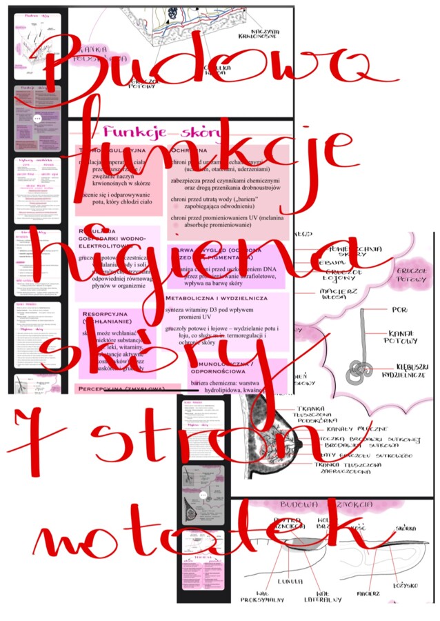 7 stron notatek - skóra