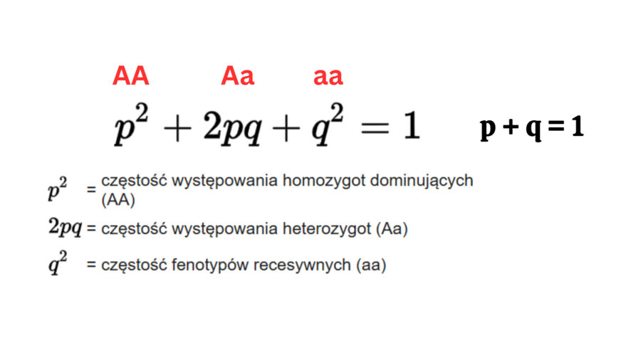 ewolucja organizmów KLASA 4 ROZSZERZENIE BIOLOGIA