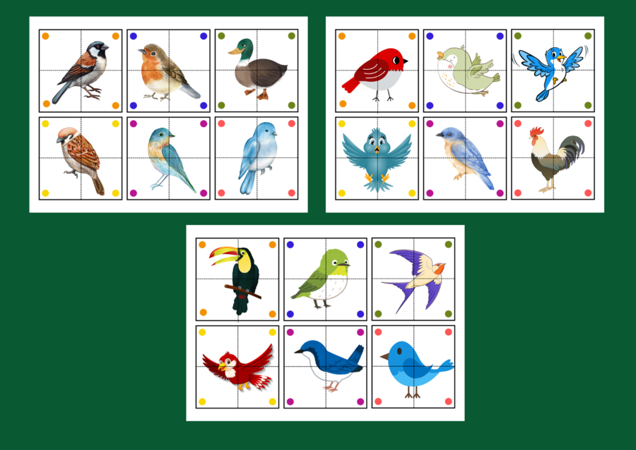 DZIEŃ PTAKÓW – puzzle – układanka- układanki – biblioteka – świetlica – przedszkole – 36 wersji – WIOSNA