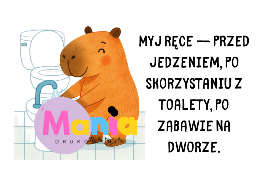 Kapibara w przedszkolu – Zasady higieny i dobre nawyki