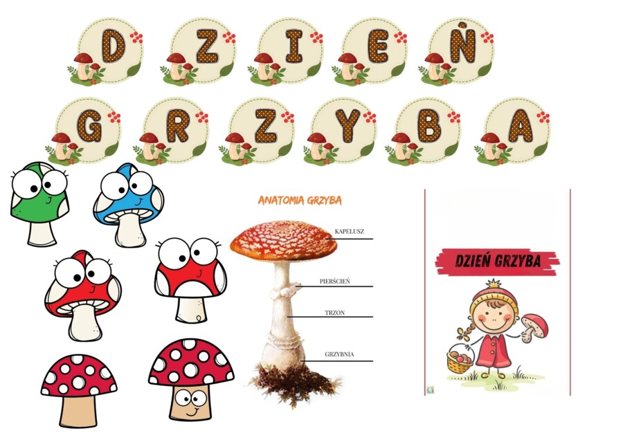DZIEŃ GRZYBA