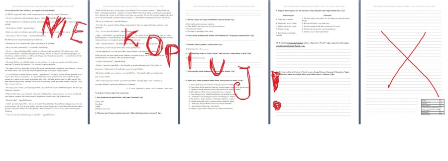 Sprawdzian podsumowujący omawianie lektury "Opowieści z Narnii. Lew, Czarownica i stara szafa"