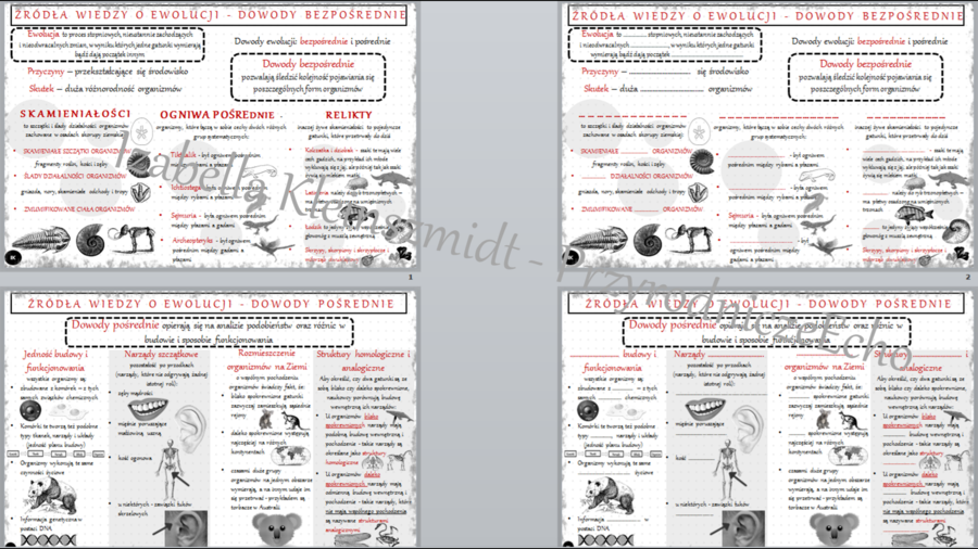 2 sketchnotki i 2 karty pracy w pdf do tematu „Źródła wiedzy o ewolucji”. Biologia klasa 8