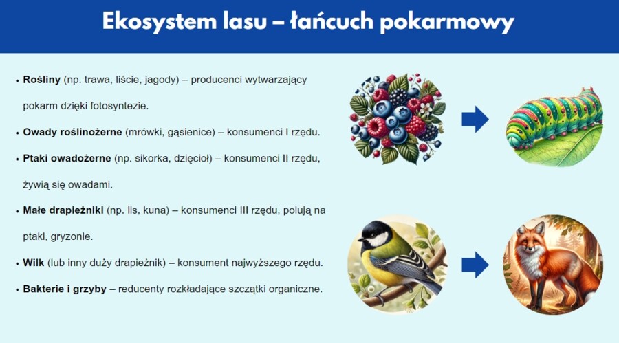 Prezentacja multimedialna. Różne ekosystemy (las, jezioro, góry). Zależności między organizmami