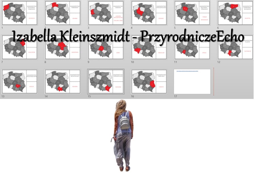 Puzzle/układanka do zalaminowania „Podział administracyjny Polski”. Geografia 7. „Mapa polityczna Europy i podział administracyjny Polski”, „Ludność i urbanizacja”.