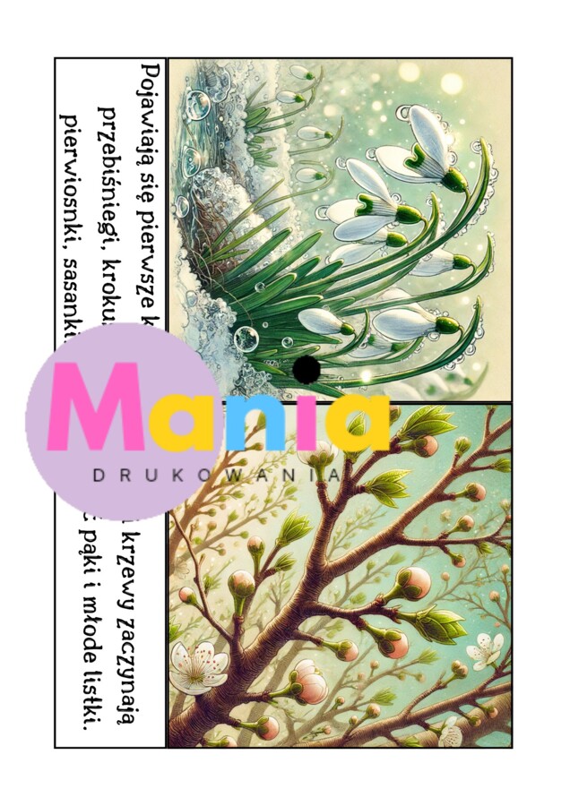 Wiosna/ Pierwszy dzień wiosny