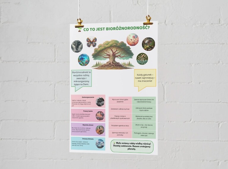 Plakaty. Ochrona środowiska. Różnorodność biologiczna. Sposoby dbania o planetę
