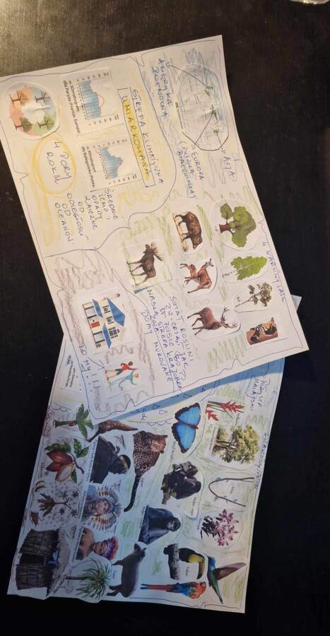 Materiał do wycięcia/wycinanka do notatki „W wilgotnym lesie równikowym i w lasach liściastych i mieszanych” w pdf. Geografia 5, dział „Krajobrazy świata”.