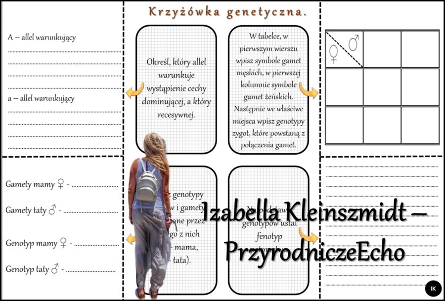 Notatka okienkowa/stacja zadaniowe/notatka/notatka graficzna/karta pracy/sketchnotka „Podstawowe prawa dziedziczenia”, „Krzyżówki genetyczne”, „Podstawowe pojęcia genetyki” w pdf. Biologia 8 dział „Genetyka”. Materiał wykonany na podstawie podręcznika z 