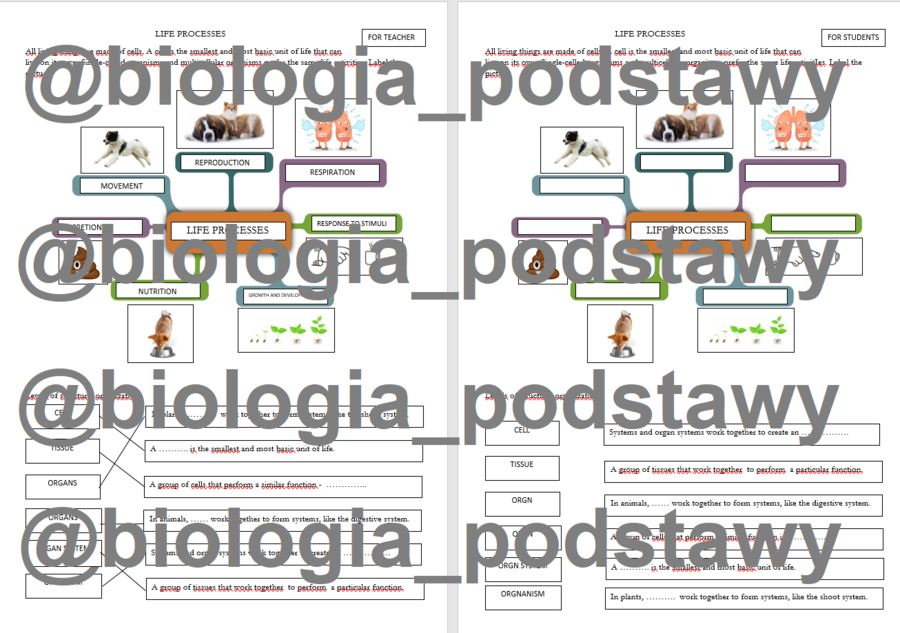 Klasa 4 - Organizmy mają wspólne cechy - notatka w języku angielskim