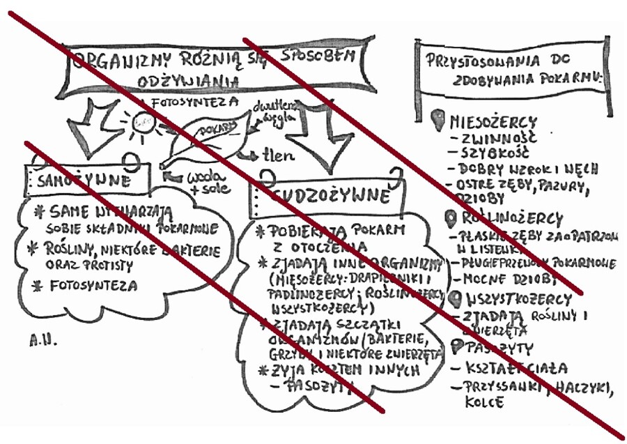 Organizmy różnią się sposobem odżywiania