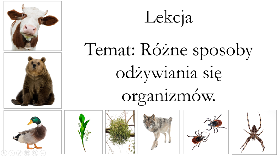 Klasa 4 - Organizmy różnią się sposobem odżywiania - prezentacja